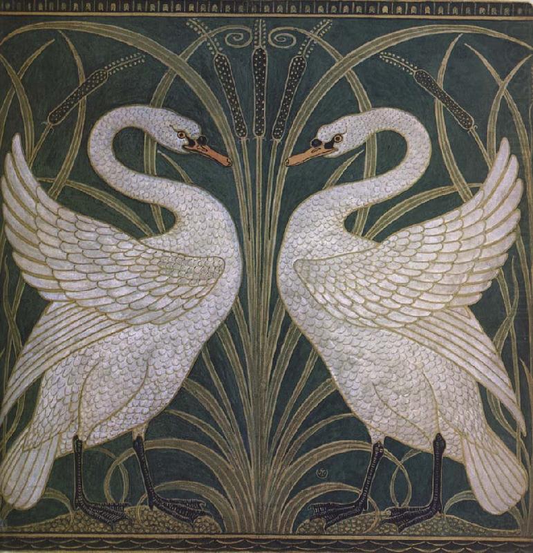 Swan, Crane, Walter